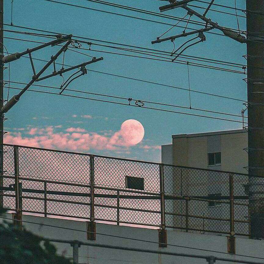 摘抄