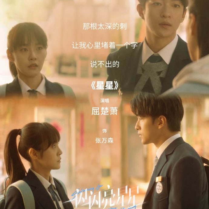 电视剧《一闪一闪亮星星》