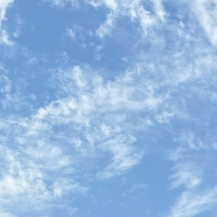 每日一句