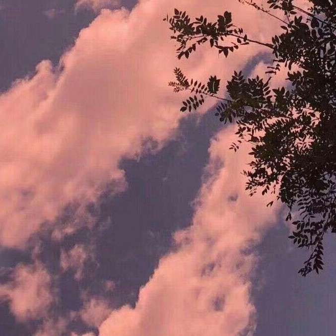 小说台词