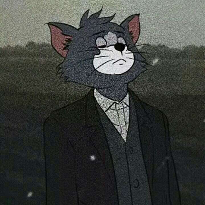 张博琦