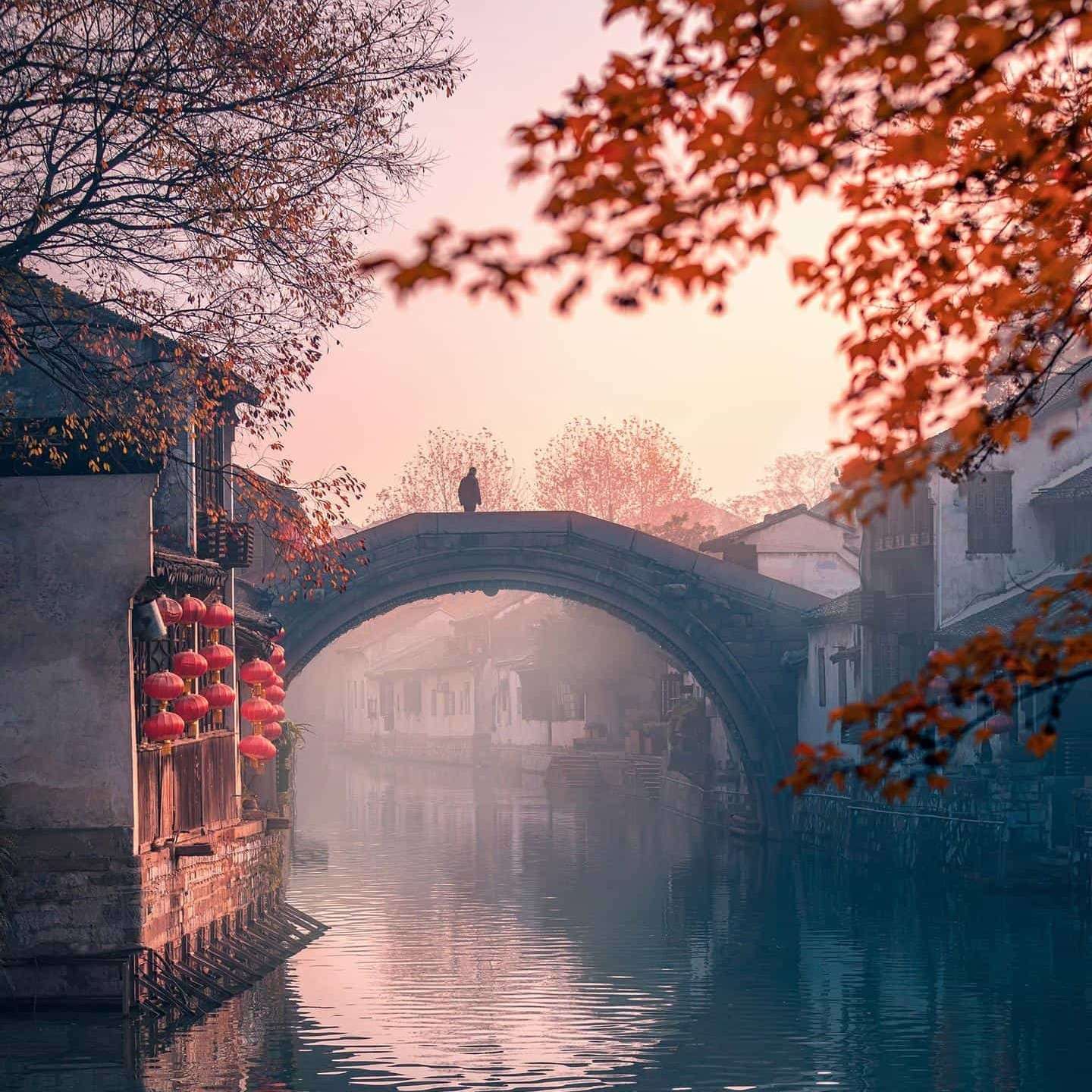 骄阳与孤独