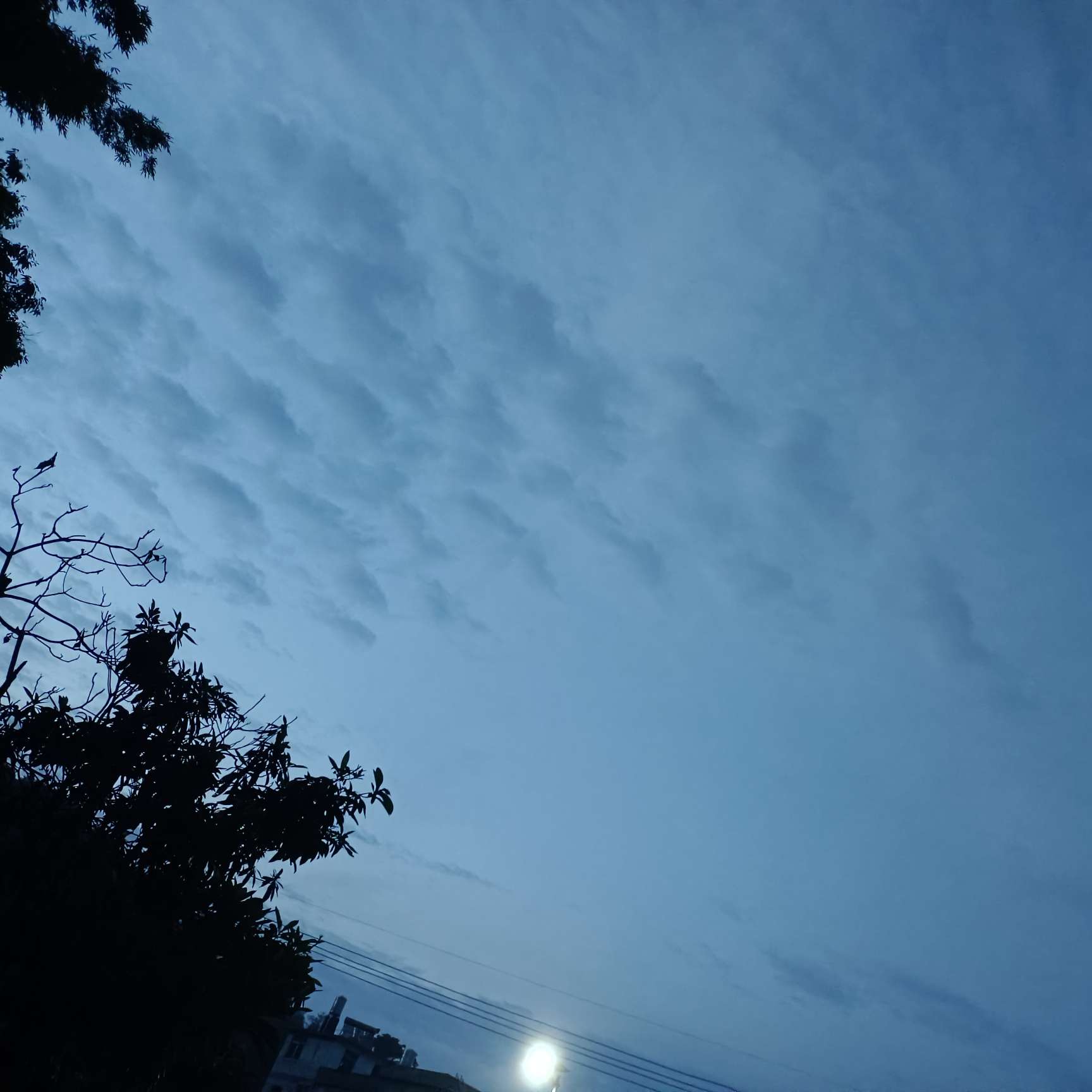 星子的发光文案