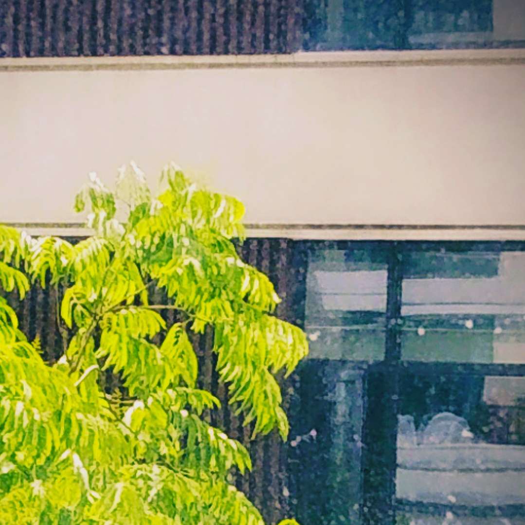 害