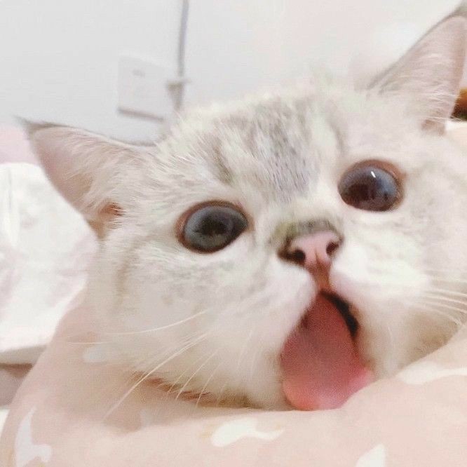友情
