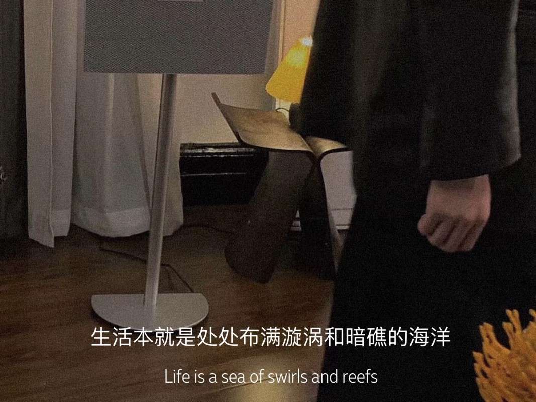 生活本来就是处处布满漩涡和暗礁的海洋