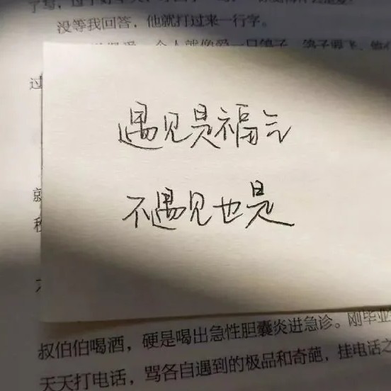 书摘