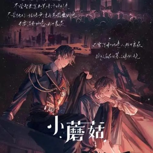 小蘑菇