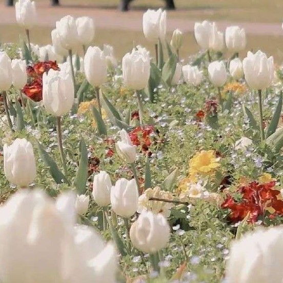 花