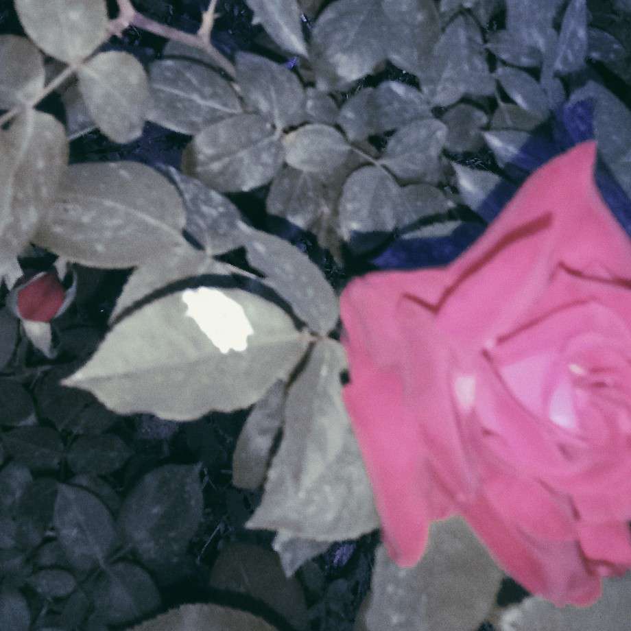 句句句子