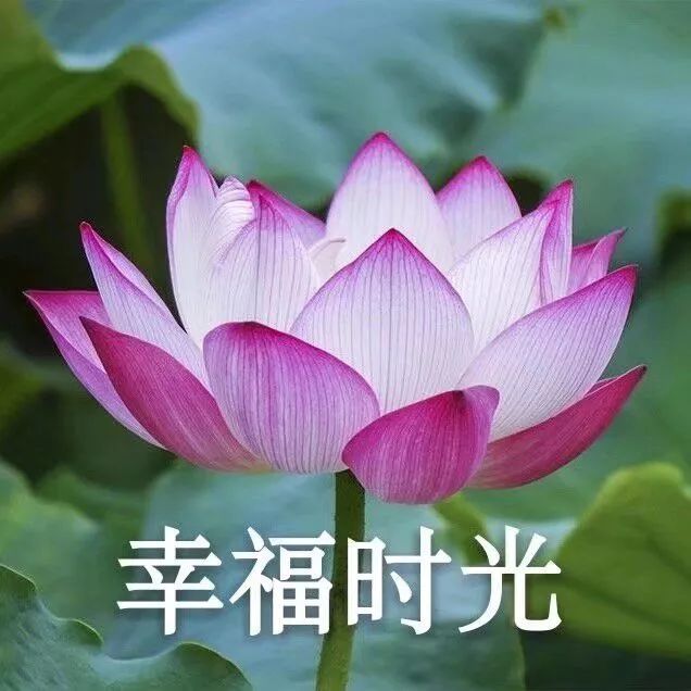 做作