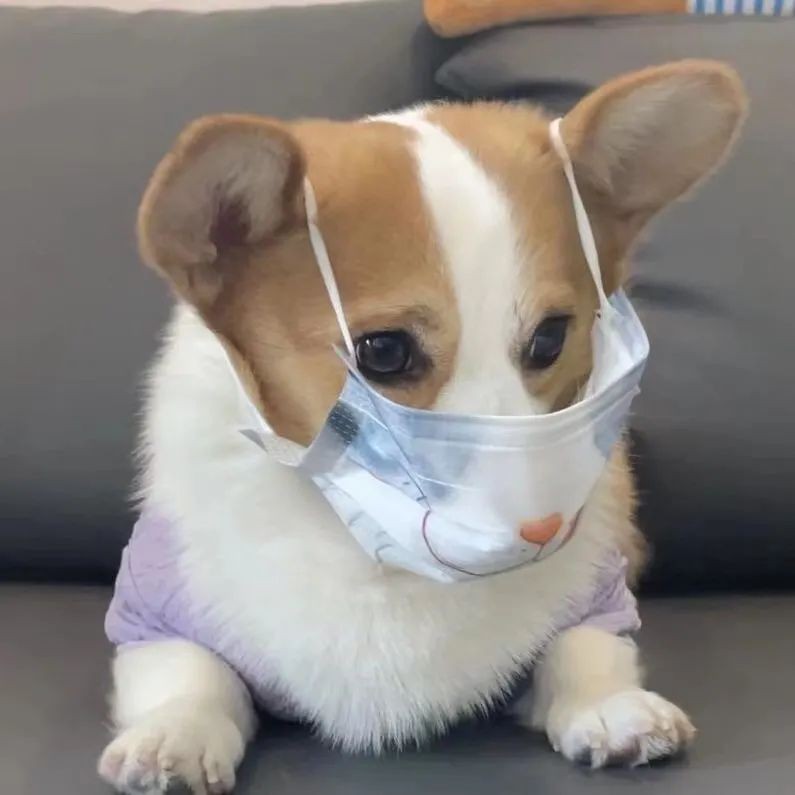 加油