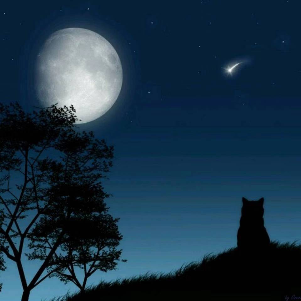 夜瞳的专辑