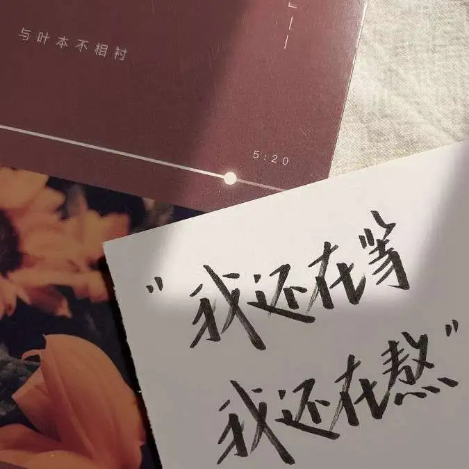 网艺韵.的专辑