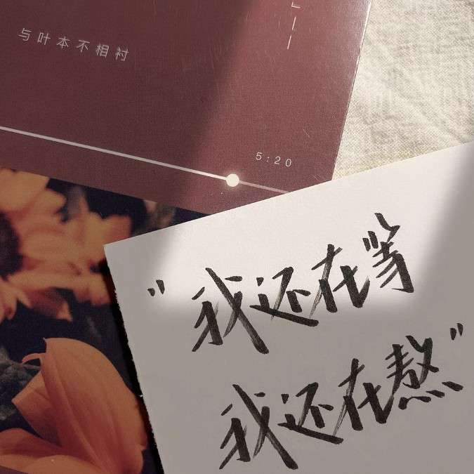 网艺韵.的专辑