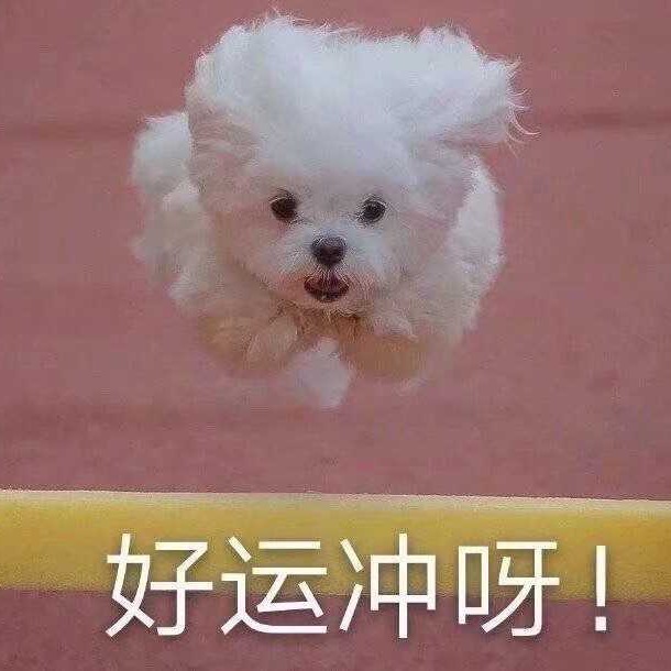 作文佳句