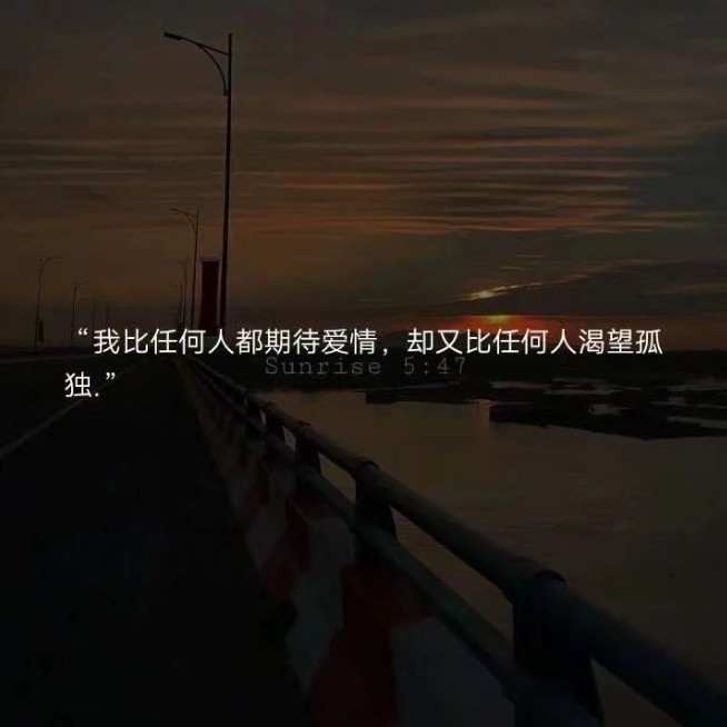 皓月坠入夜空.的专辑