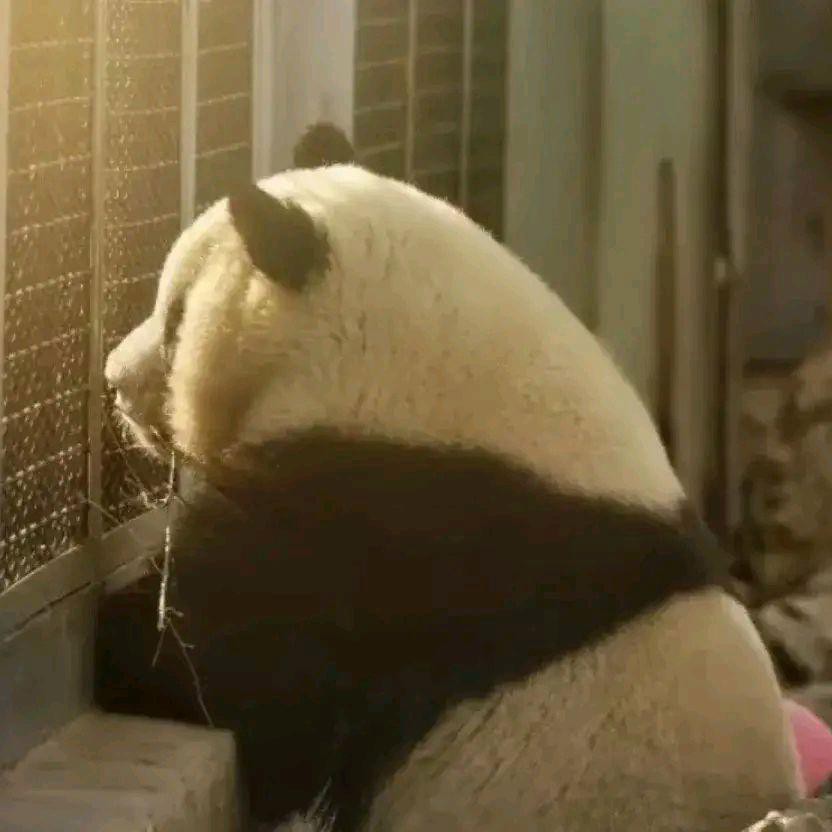 长安