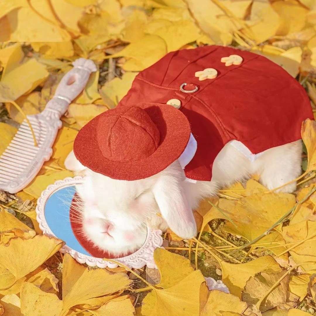 伊伴.