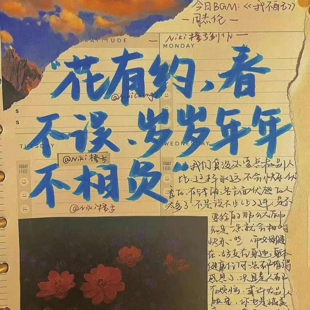 要在热爱的生活里闪闪发光