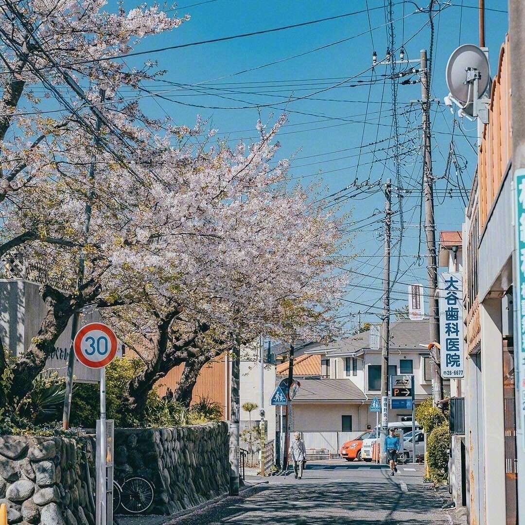 懵懂的青春