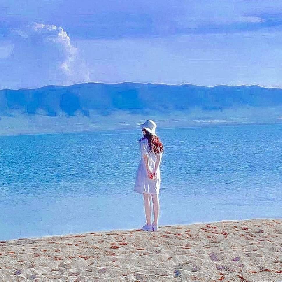 追星饭圈