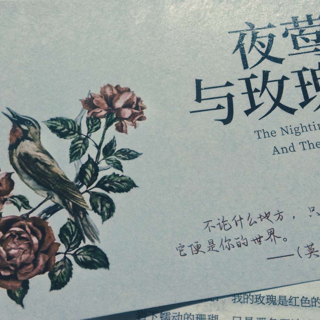 《夜莺与玫瑰》