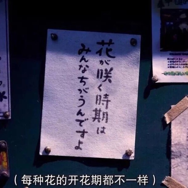 收藏