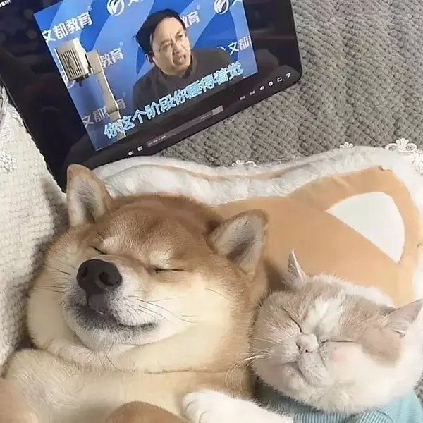 人