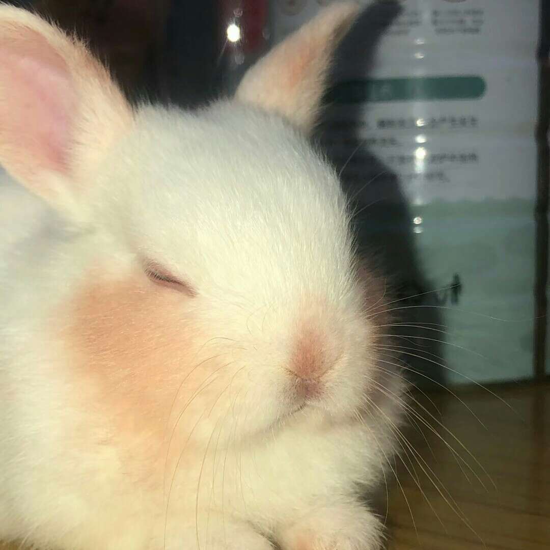 信仰
