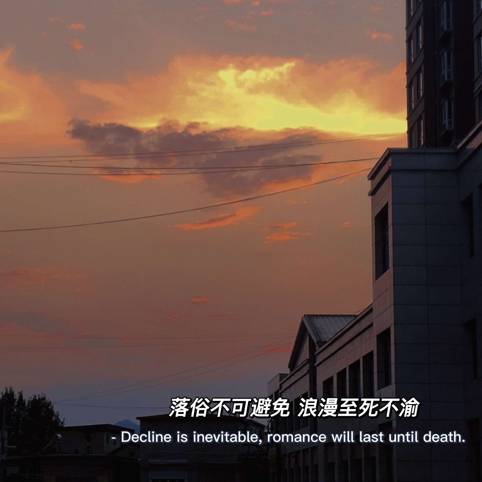 简单小孩的简单生活