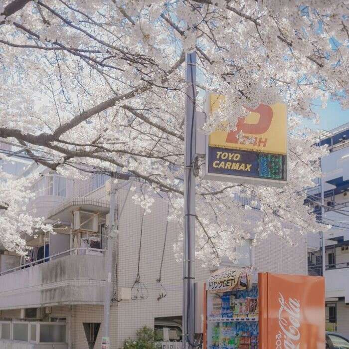 乱七八糟的话