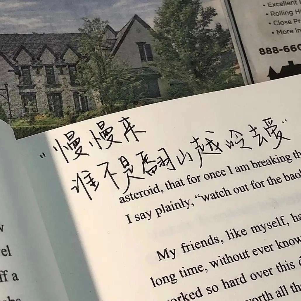 金桔合集