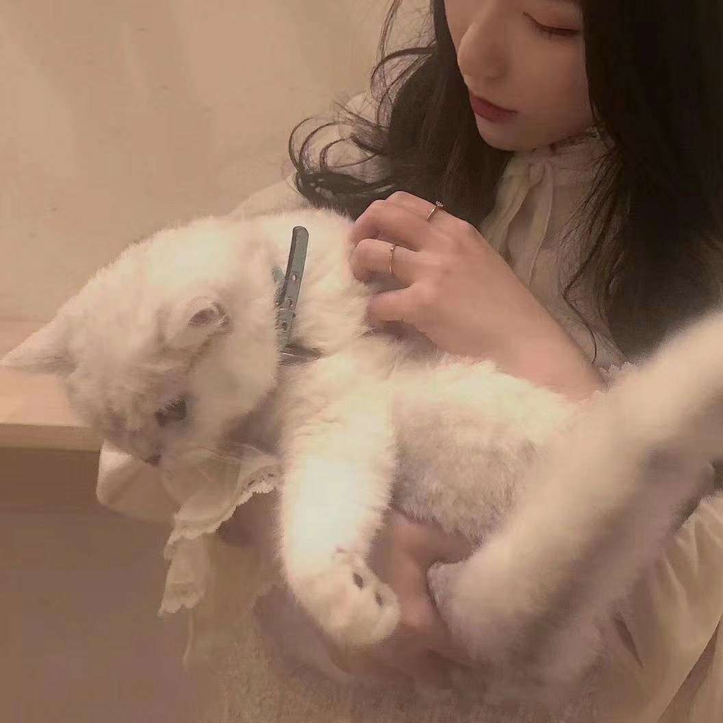 卿喵
