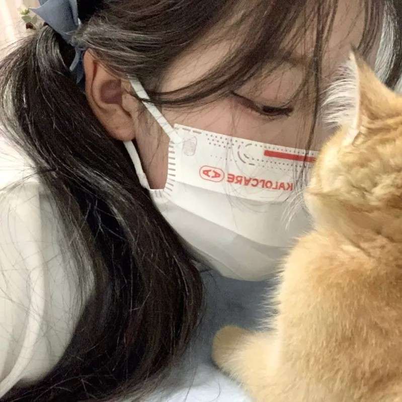 落葵