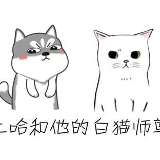 二哈和他的白猫师尊