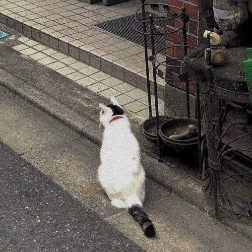 文艺句子