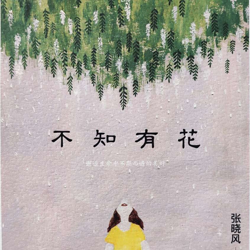 不知有花