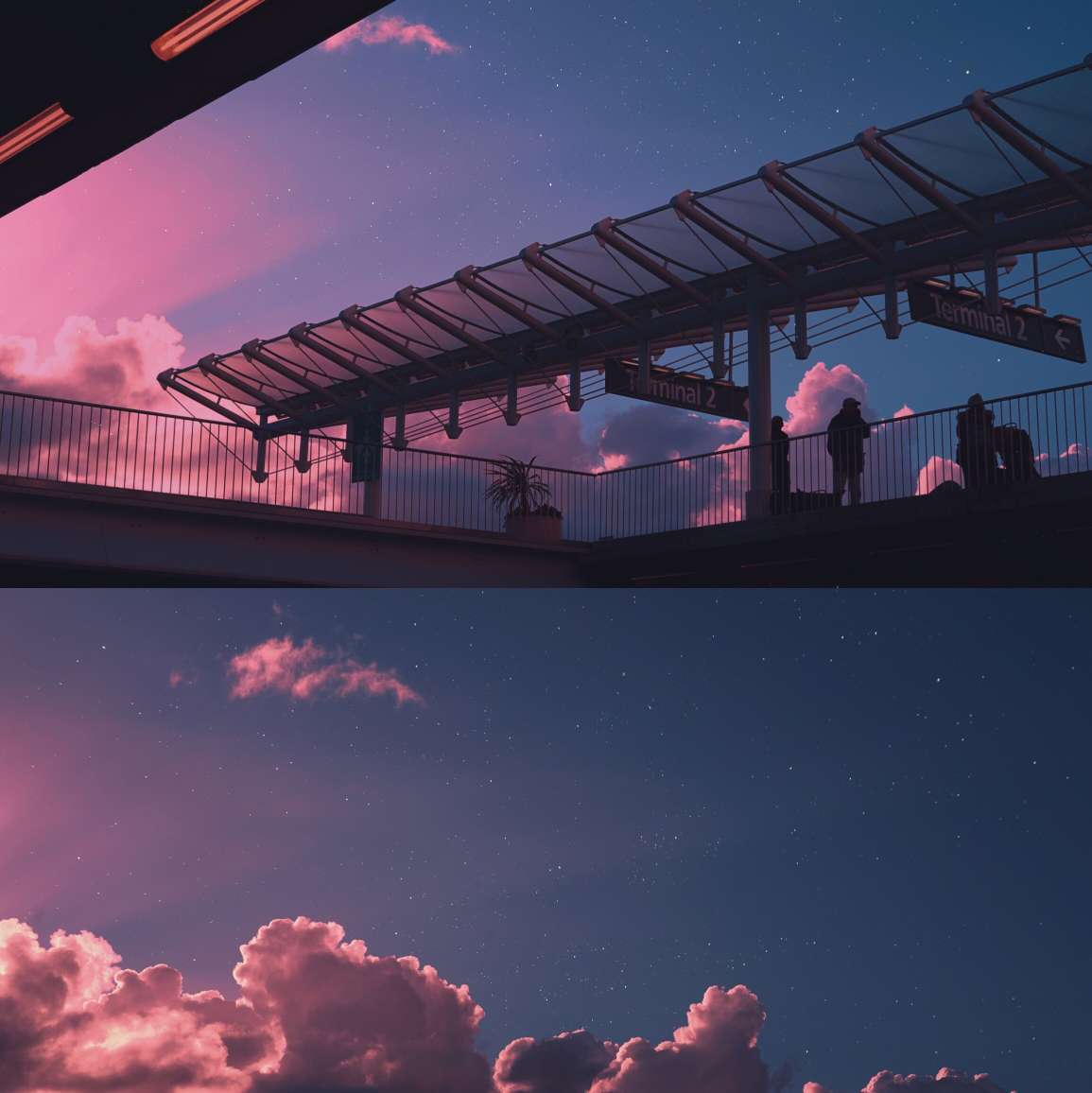 🌙与你