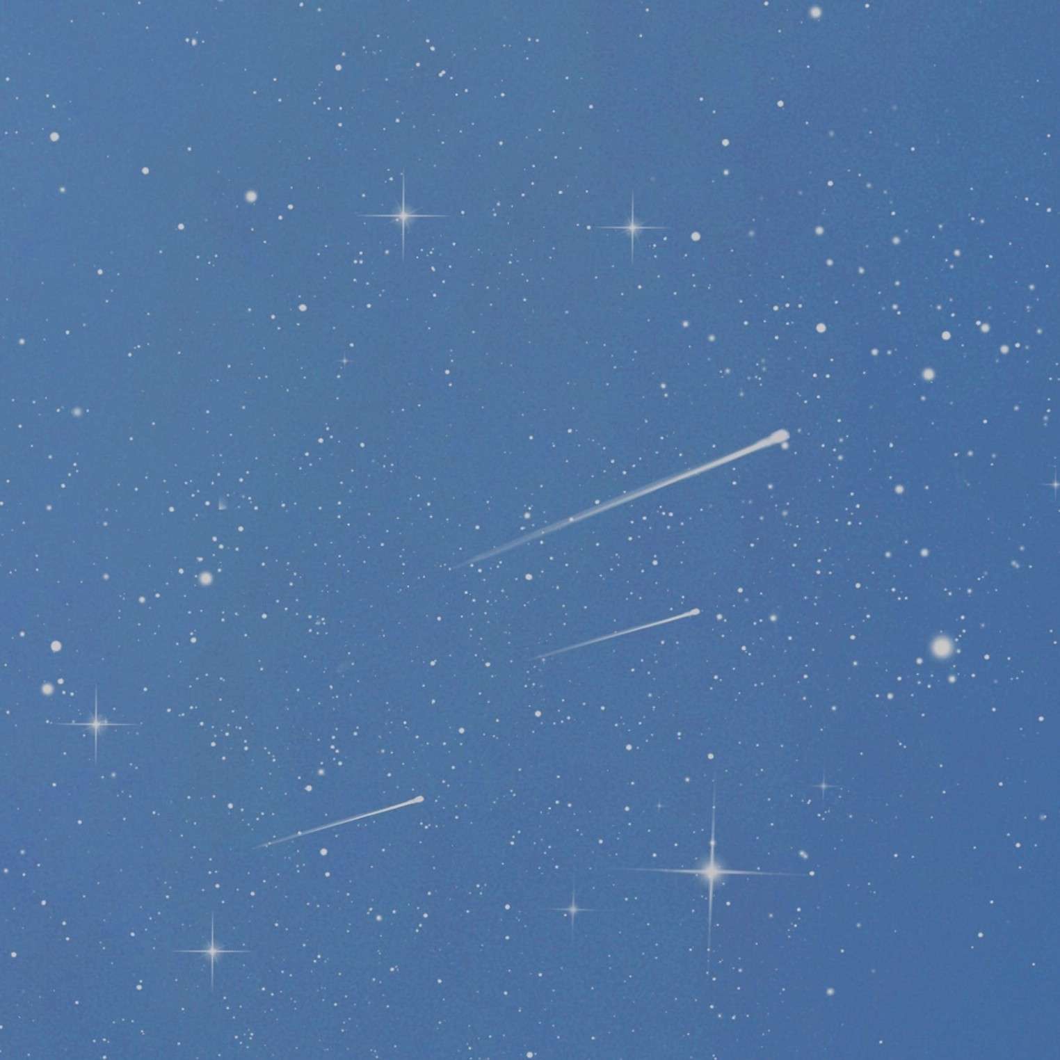 🌟