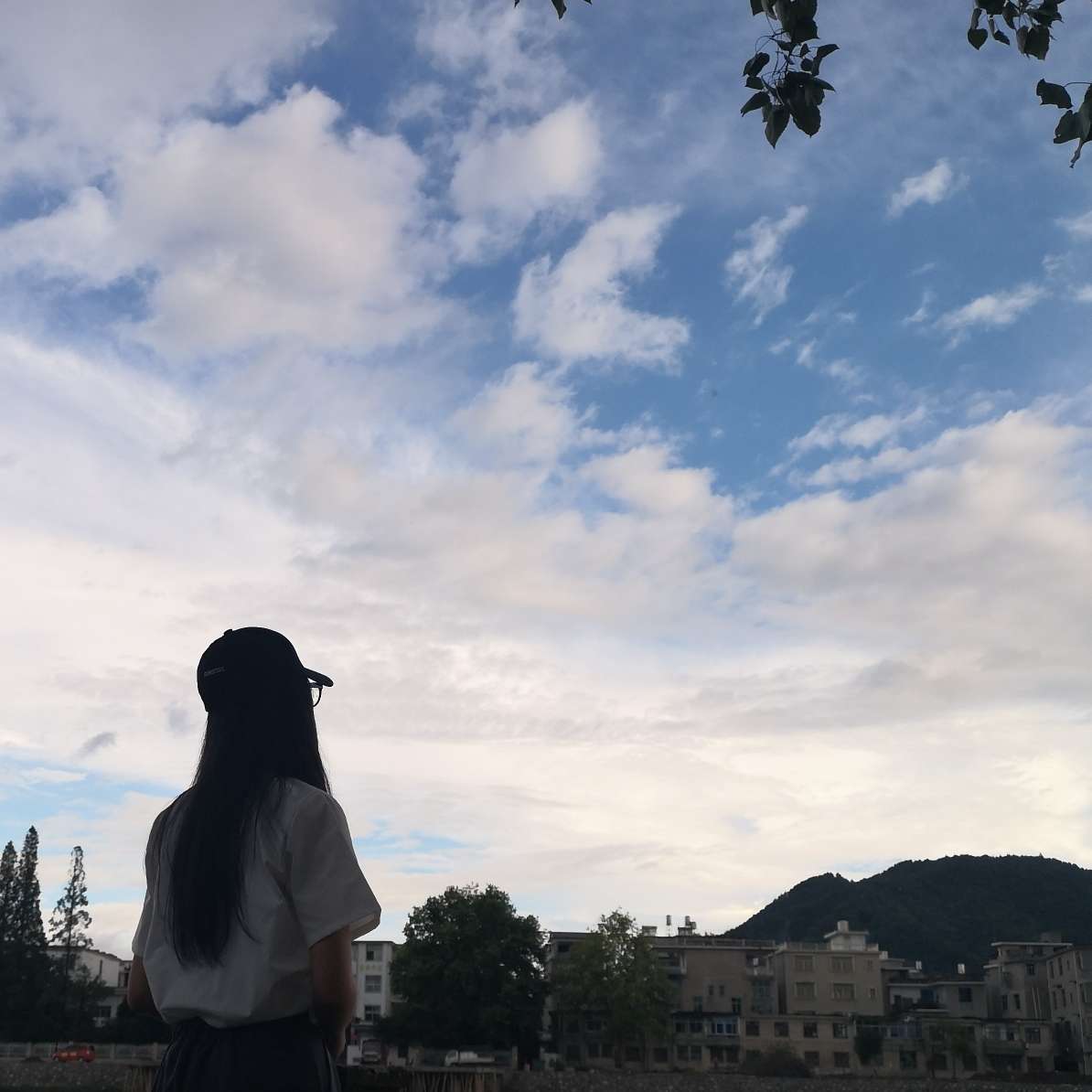 砚竹随笔