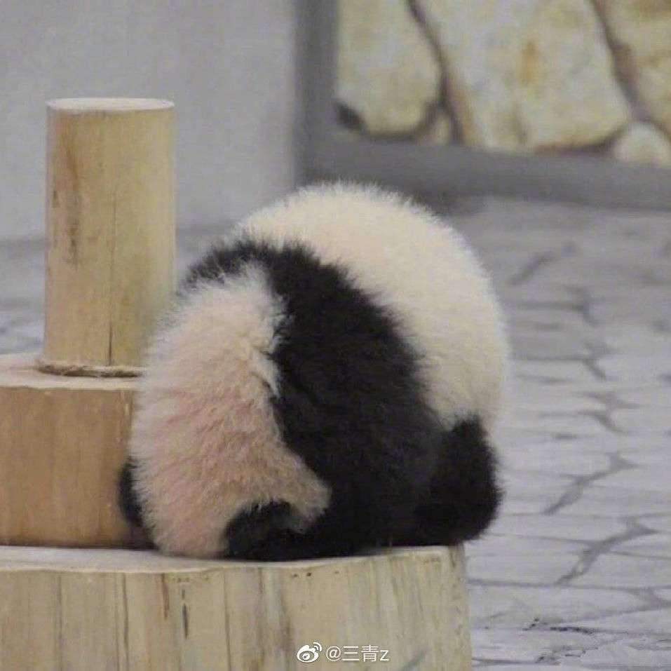 温温柔柔
