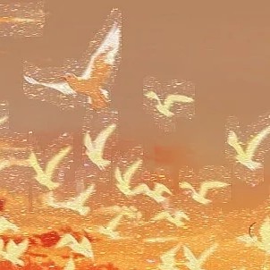 l