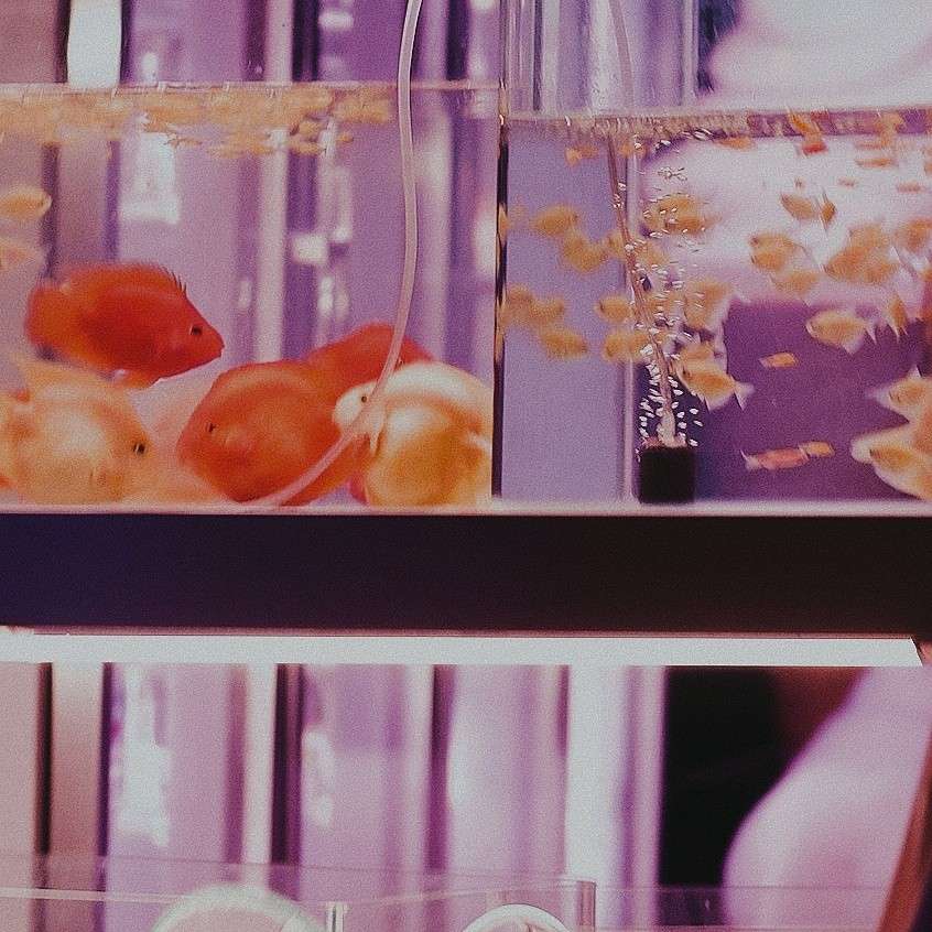 生活感悟
