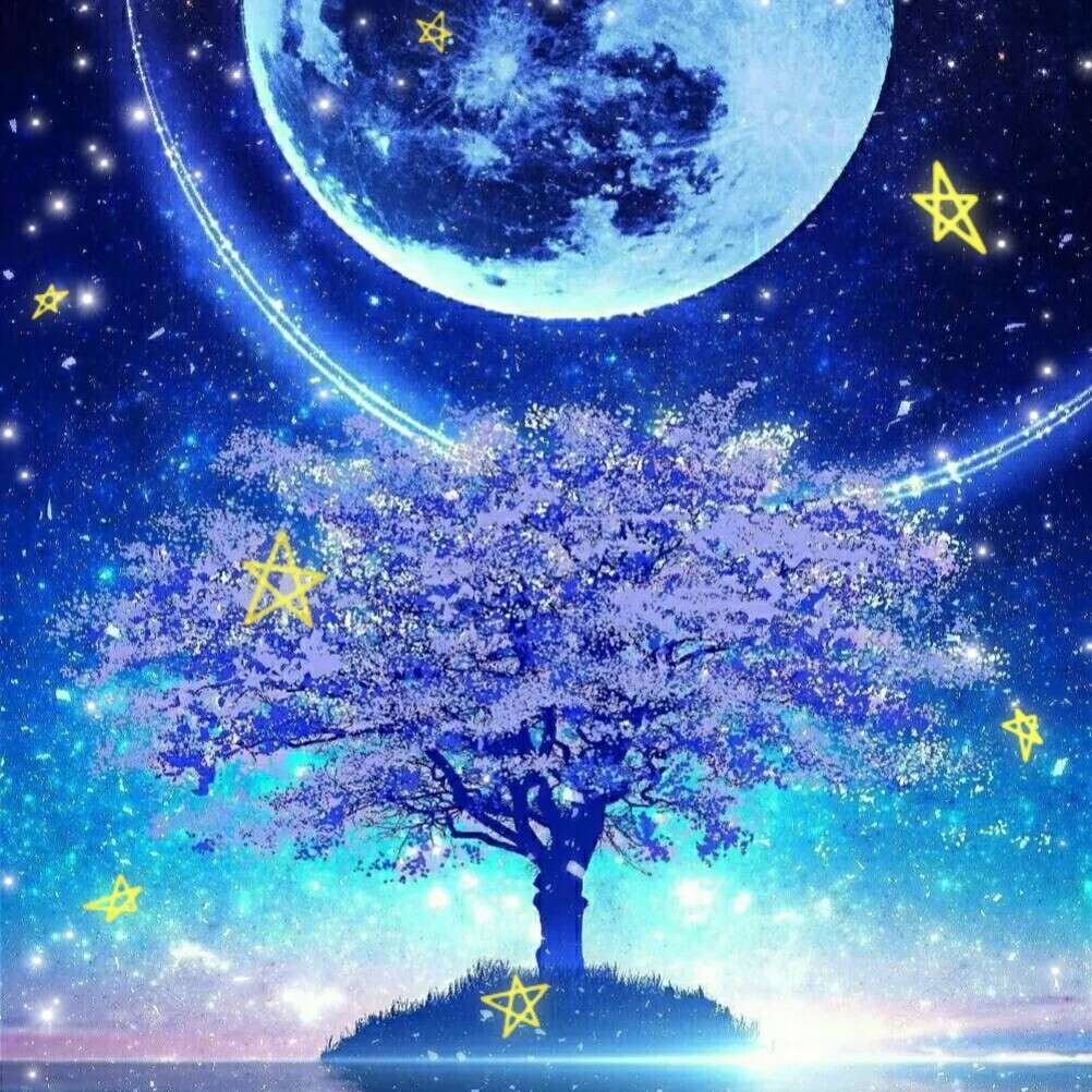 沫槿汐的专辑