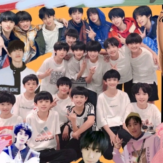 TF家族