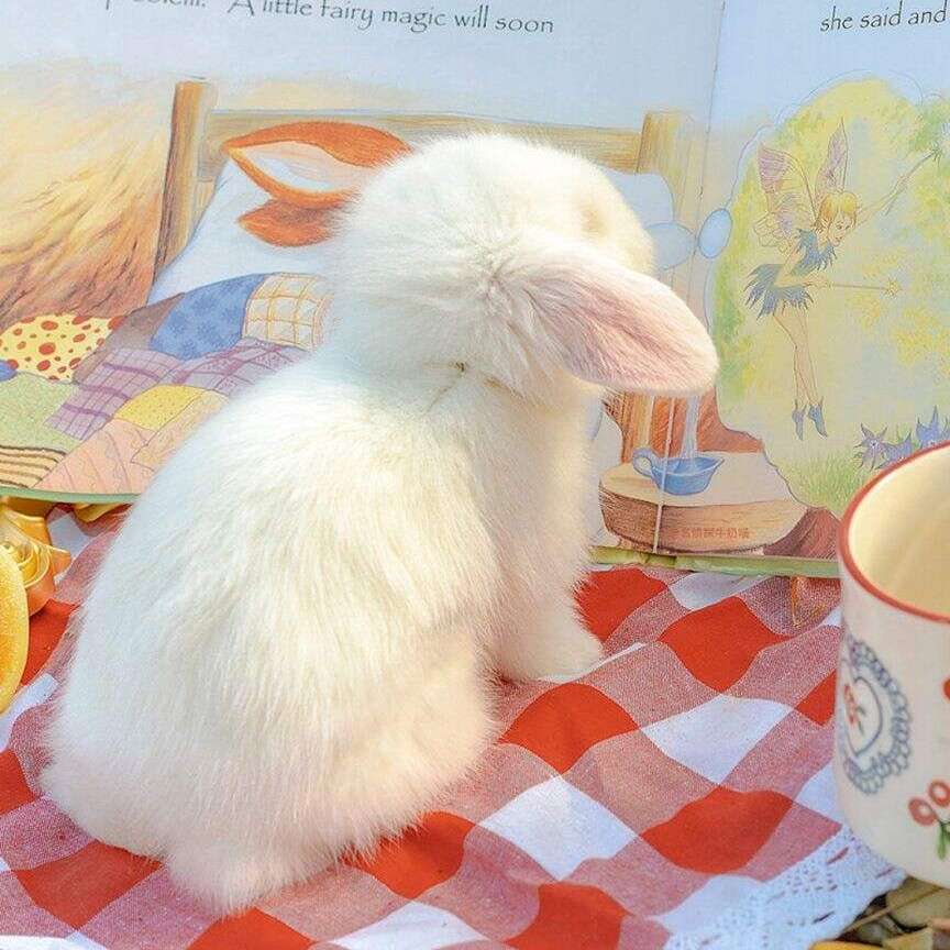 夏日