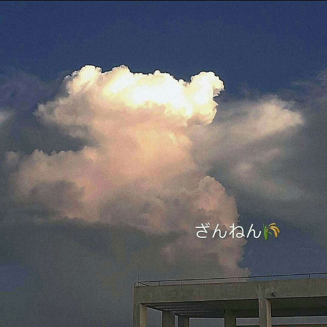 温柔很珍贵.