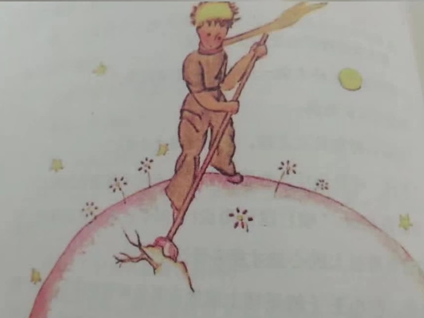 小王子语录