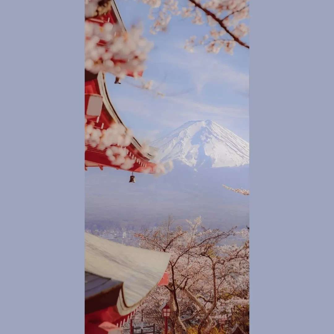 怀古伤今